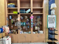 -瑞派名望志远动物医院·猫科·內科·异宠专科(直港大道店)