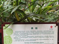 -广西壮族自治区药用植物园