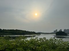 -南京市无想山景区