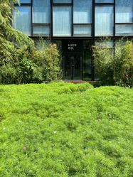 -Hair Co.一间沙龙