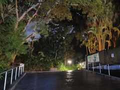 -九龙公园
