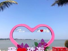 -野狸岛