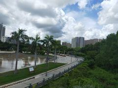 -金鸡岭桥头公园