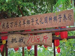 -万兴启丰椰子文化园餐厅