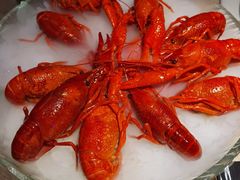 -红盔甲·小龙虾(车公庙店)