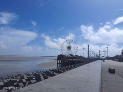 -奉贤海滩