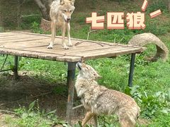 -大连森林动物园
