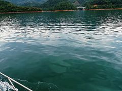 -酒仙湖景区