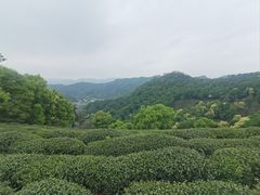 -西湖风景区十里琅珰-五云山