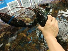 -盒马鲜生(大成店)