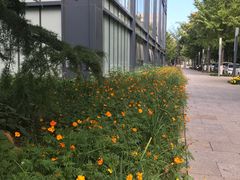 -北京师范大学邱季端体育馆