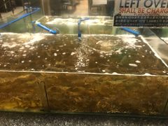 -Isla Sugbu Seafood City