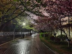 -南京城墙景区