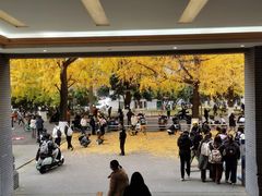 -四川大学(华西校区)