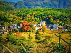 -塔川景区