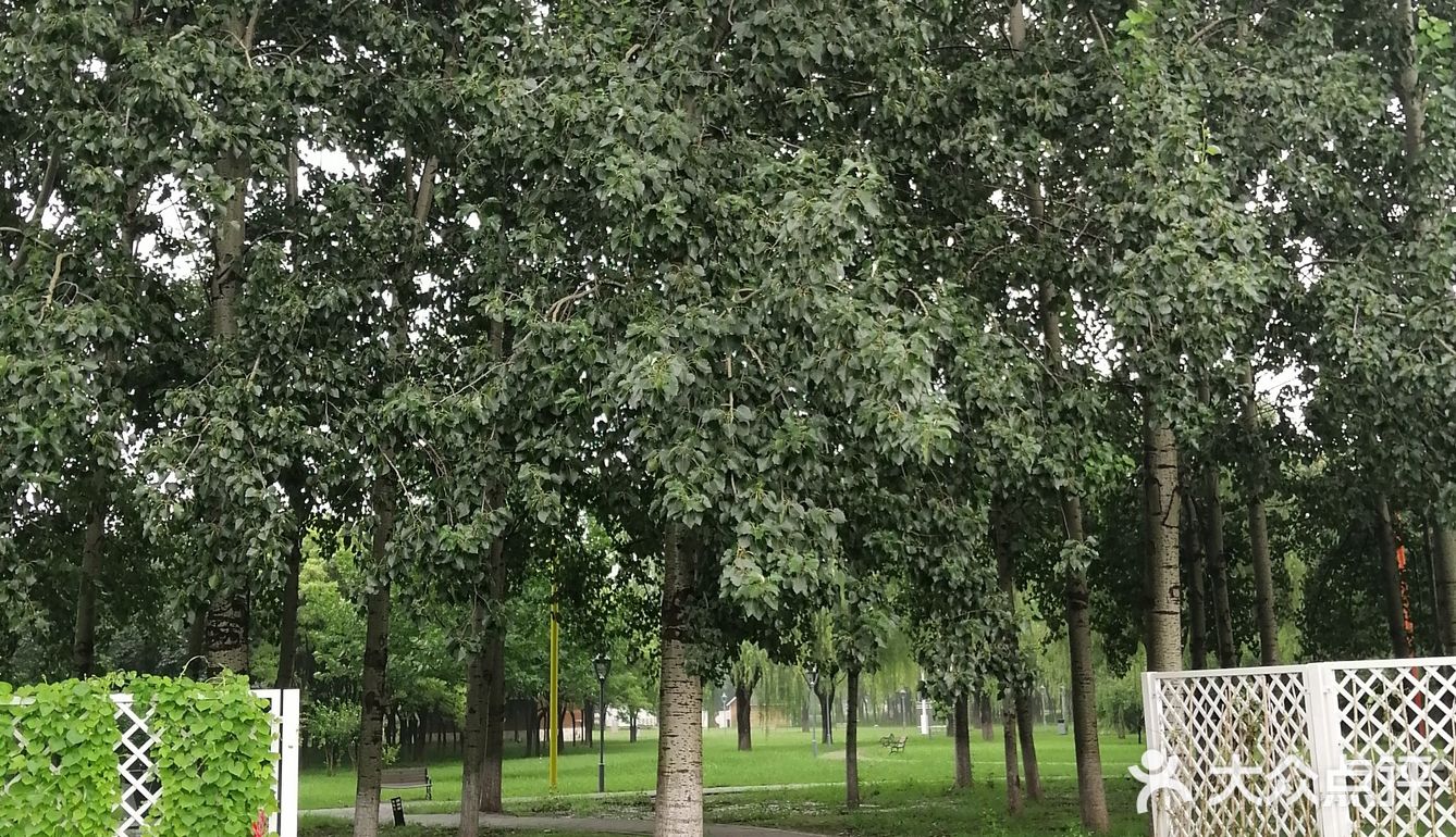 [打call]周末就要快乐的出去玩😁
  