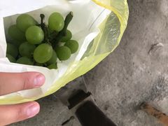 -马陆小张葡萄园农家乐