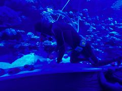 -太平洋海底世界