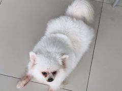 -怪兽屋·羊驼·猫咖·狗咖(俊华广场店)
