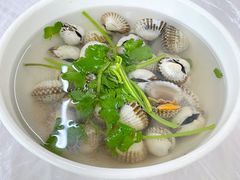 雪蛤-老三鱼仔店