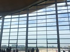 -上海浦东国际机场-T2航站楼