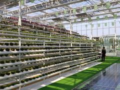 -兰陵国家农业公园