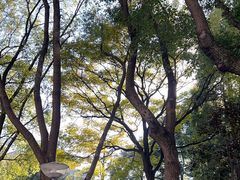 -中共上海市委党校 上海行政学院