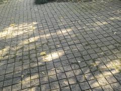 -兔兔家蛋糕甜品(德胜店)
