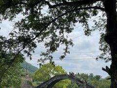 -鹿亭中村