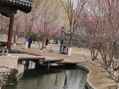 -三里河公园