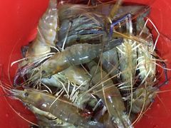 -会江钓鱼钓虾烧烤场