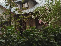 -北京大学燕东园