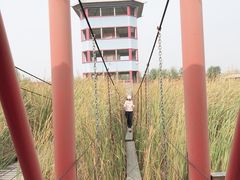-河北村民俗体验园