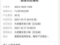 -大虎重庆老火锅(正弘城店)