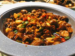 -向塘土鸡店(洪城店)