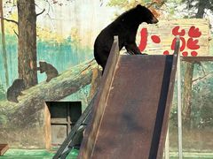 -西安秦岭野生动物园