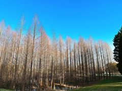 -扬州市茱萸湾风景区