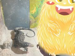 -上海大自然野生昆虫馆