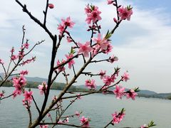 -浙江西子宾馆·瑶园咖啡厅