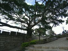 -胡里山炮台