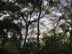 -山城巷传统风貌区