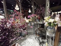 -淮国旧H22·中古店