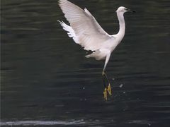 -重庆彩云湖湿地公园