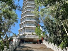 -深圳国际园林花卉博览园