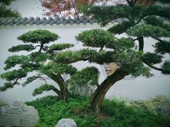 -温江公园