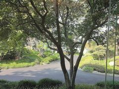 -浙江西子宾馆·瑶园咖啡厅