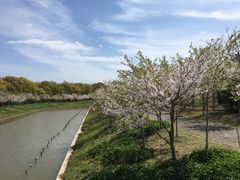 -上海海湾国家森林公园