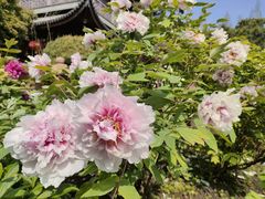 -龙华寺