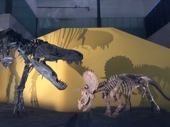 -湖南省地质博物馆