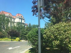 -星光岛